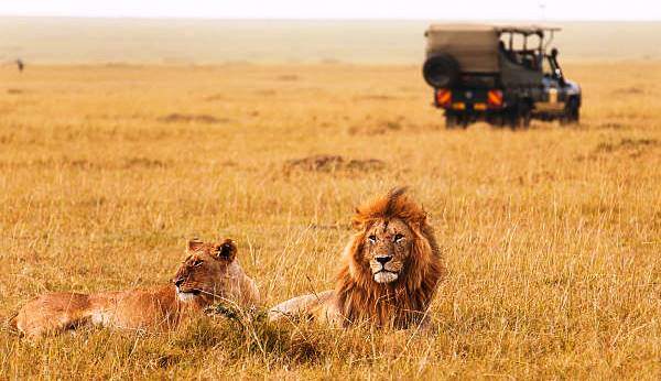 Tours and trips in Kenya national parks