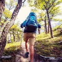 Exploring Aberdare National Park for panoramic vistas