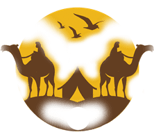 best Kenya Bird Watching Spots