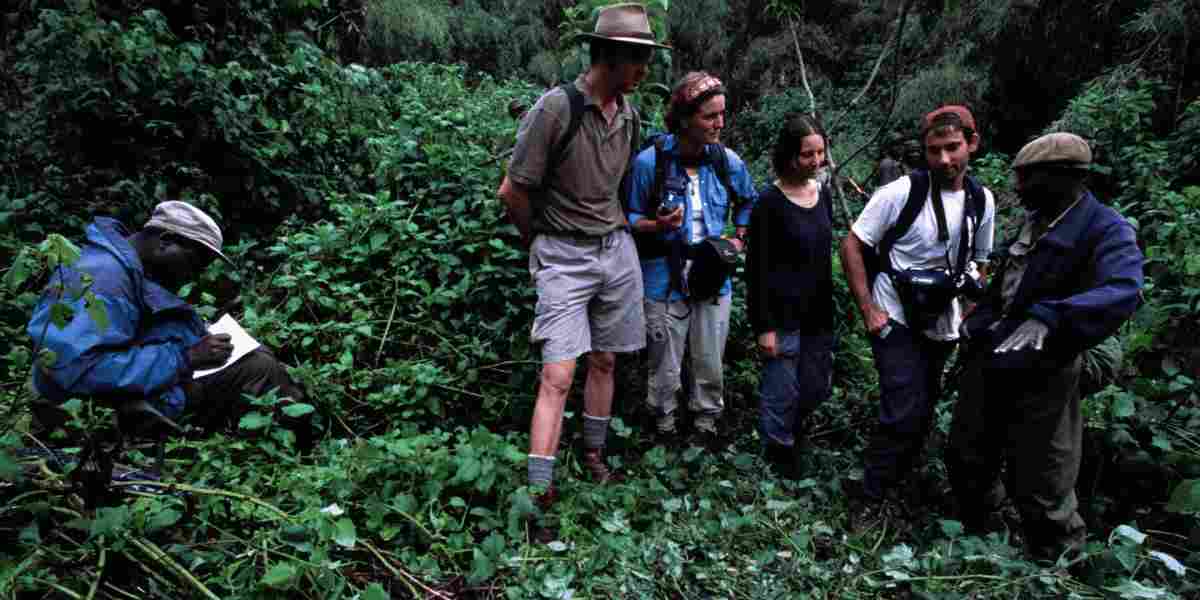 Ancient Boni Forest safari experience