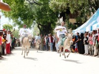 Cultural festivals in Lamu Kenya