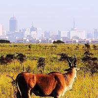 Custom Kenya safari itinerary for French travelers