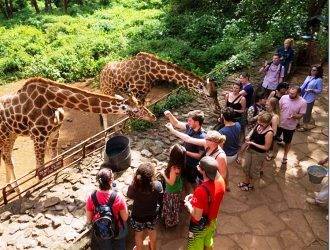 A trip to a giraffe center Nairobi