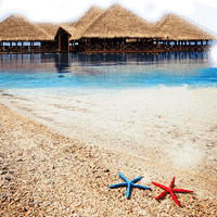 All-inclusive Kenya corporate travel packages for French firms