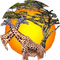 Kenya family holiday packages from Serbia with flights