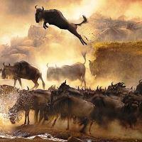 Family safari to Kenya from Greece with flight arrangements