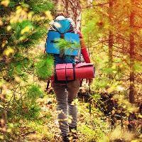 best time of year for a Kenya safari from Northern Europe