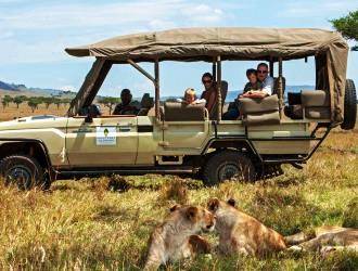 Majestic lion pride in Kenyan national parks