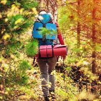 Ngare Ndare Forest trekking guides for nature enthusiasts