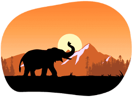 best wildlife parks in Kenya for Indian tourists