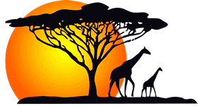 spring birding tours in Kakamega Forest for American tourists