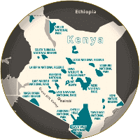 safari gear checklist for Spanish adventurers in Kenya