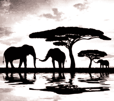 kenya photography safaris for slovak adventurers