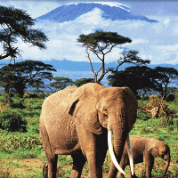 attractive tourism areas in Nairobi 