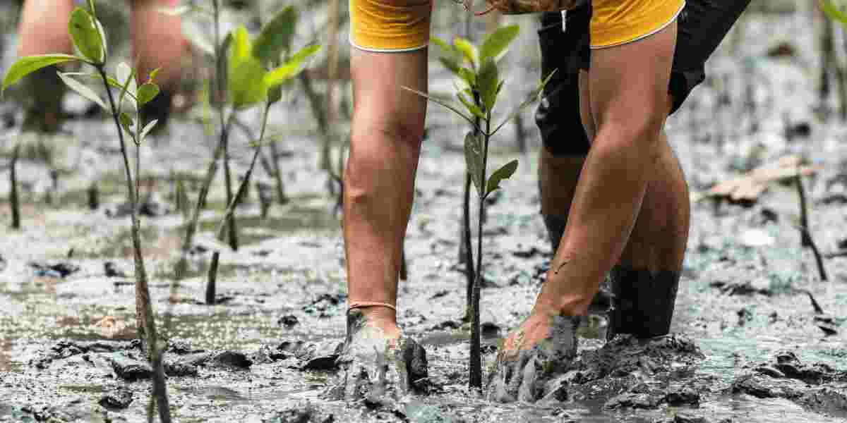 kenya from sweden Strategic Agri Partnerships for Sustainable Farming