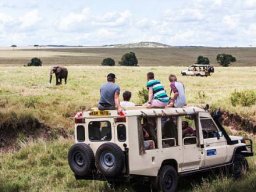 Ideal Tourism Services in Kenya