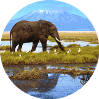 where to go for safari and beach in kenya