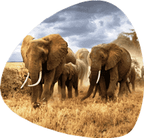 travel tips for UK tourists visiting Kenya’s Rift Valley